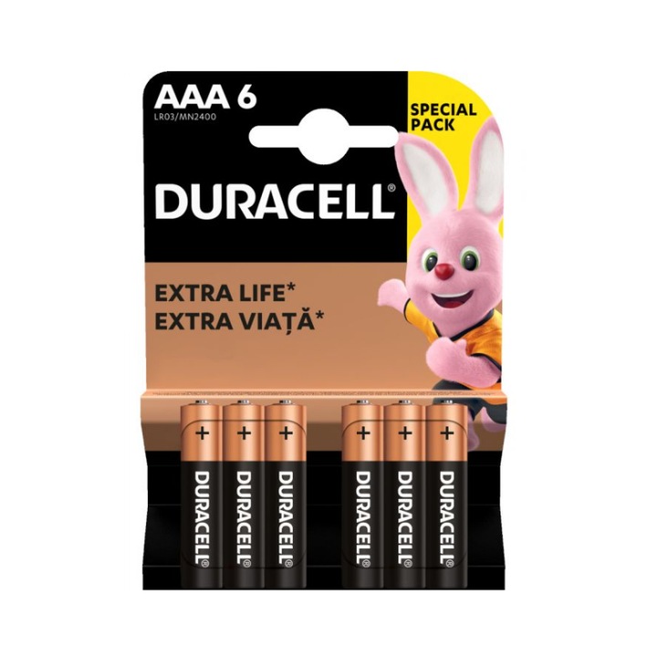 Baterii Duracell Basic AAA, LR03, MN2400, 6 buc
