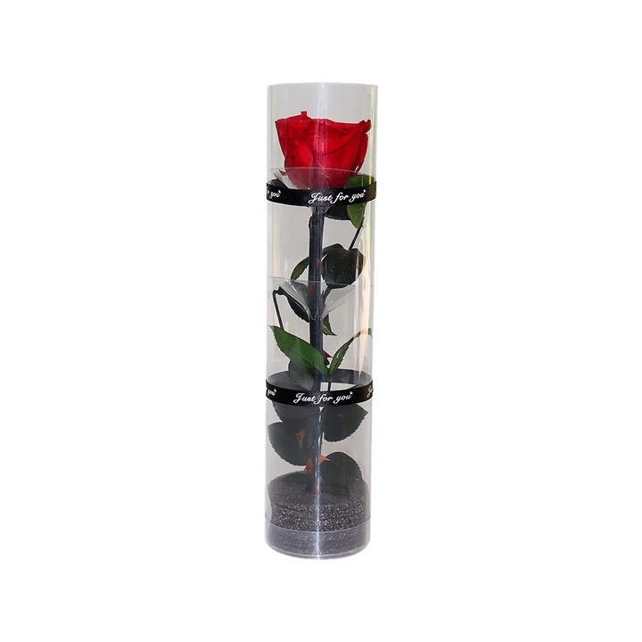 Trandafir conservat natural, durabil, rosu, 27x4.5cm