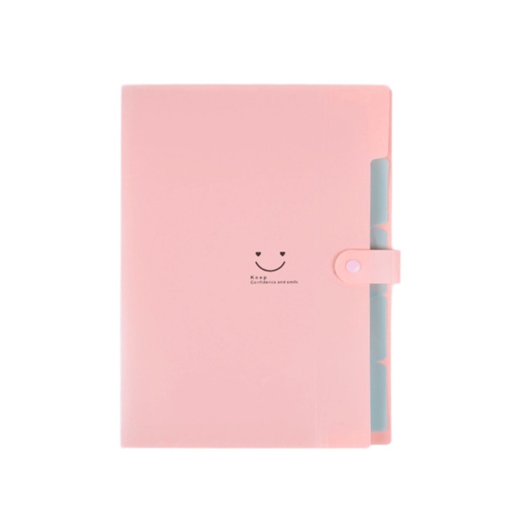 Dosar, multistrat, impermeabil, cu buzunare mari, multicolor