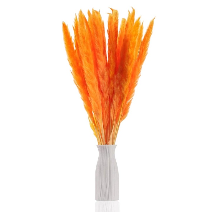 Set 30 bucati Pampas uscat, decorativ, portocaliu, 44cm