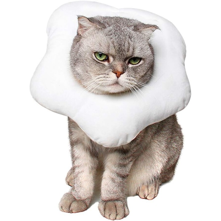 Guler reglabil pentru pisici, forma ou, moale, sub 26cm