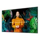 Monitor LED Samsung QM65C LH65QMCEBGCXEN Smart 65 inch UHD VA 8 ms 60 Hz
