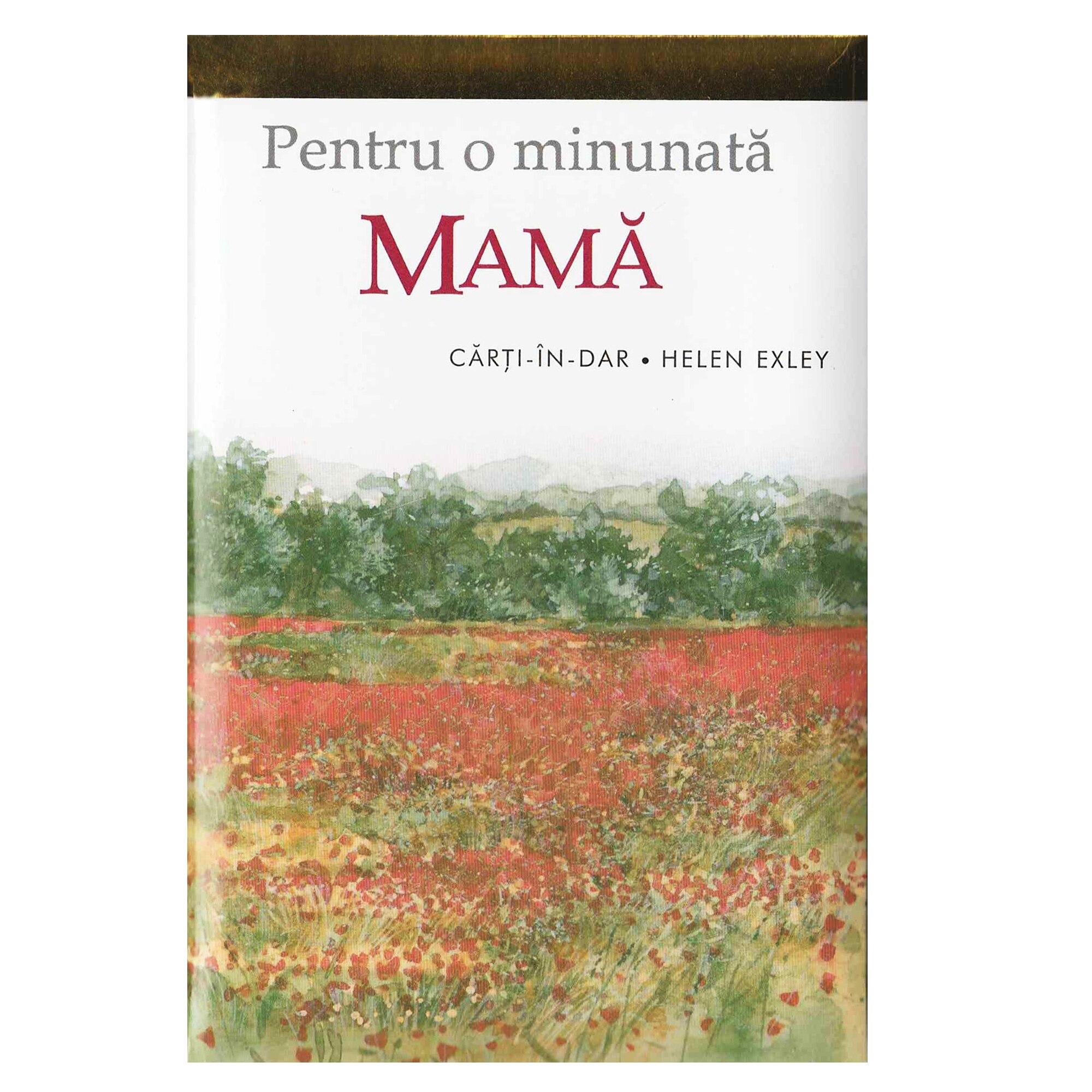 Pentru o minunata mama