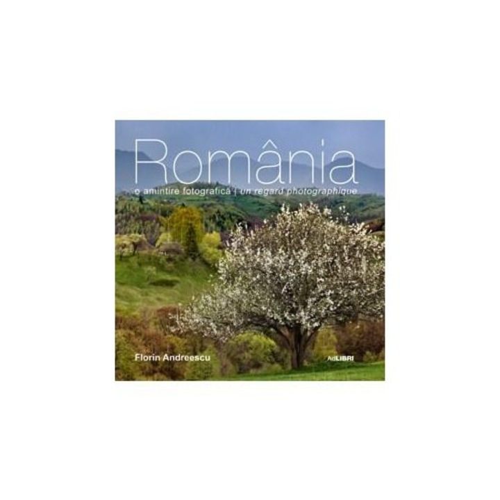 Romania rom/franc II - Florin Andreescu
