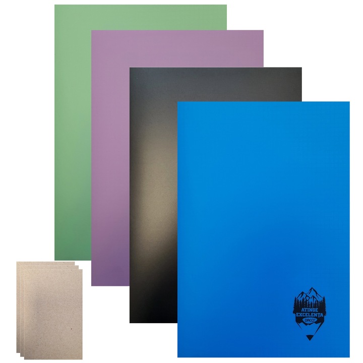 Caiet studentesc MATEMATICA, A4, 4 caiete /set, 60 file, coperta plastic + 10 Cartonase pentru notite FLR