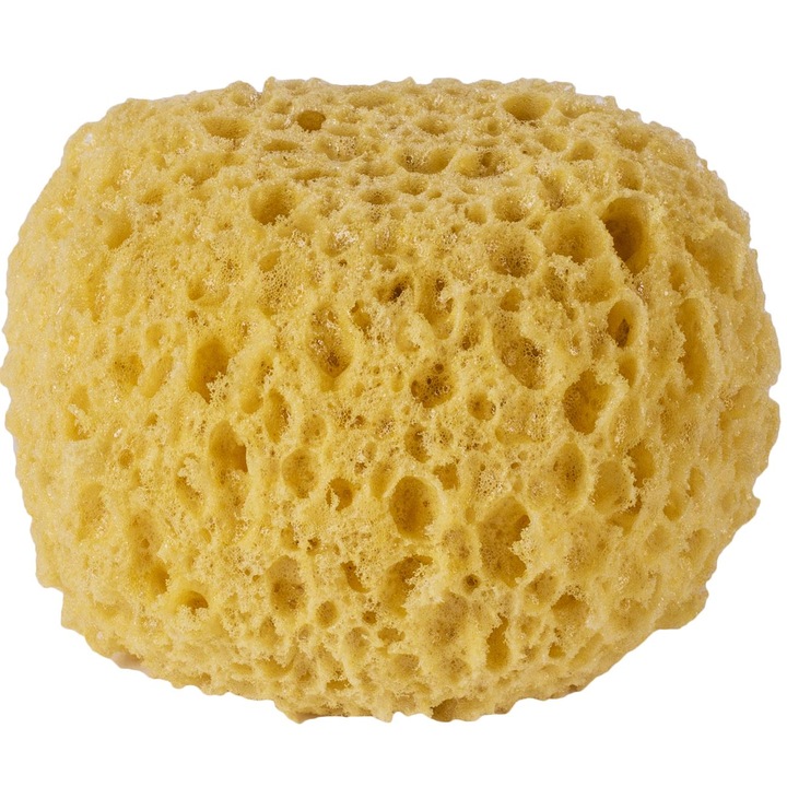 Természetes fürdőszivacs, átmérője 10 cm, vastagsága 7 cm