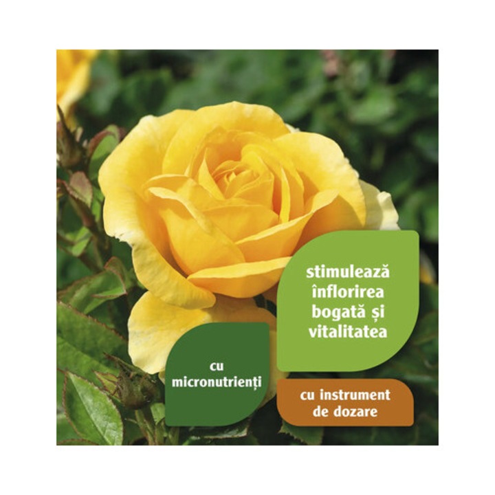 Ingrasamant Pentru Trandafiri Floraself 1 L