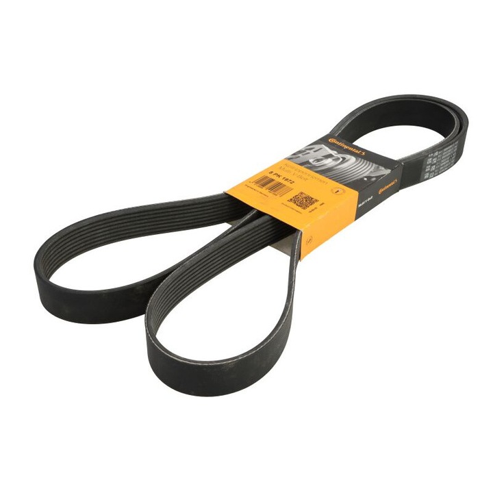 Hosszbordás szíj 8PK1972 CONTITECH