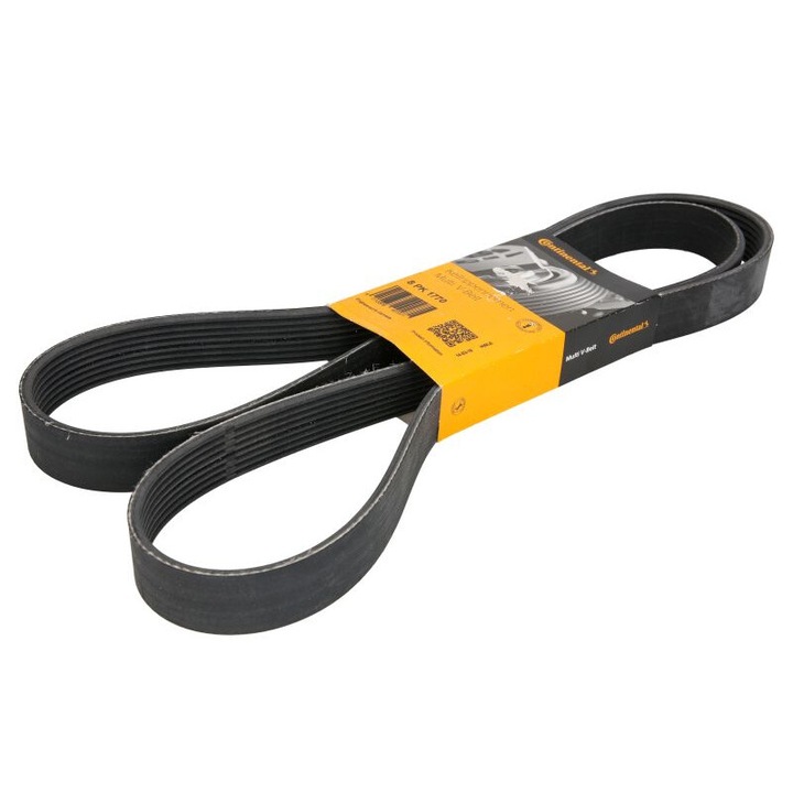 Hosszbordás szíj 8PK1770 CONTITECH