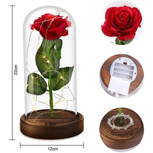 Accesorii decorative