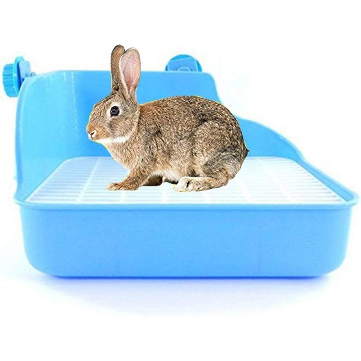 Litiera pentru iepuri, AMRINUGL, Plastic, 28 x 22 x 15 cm, Albastru