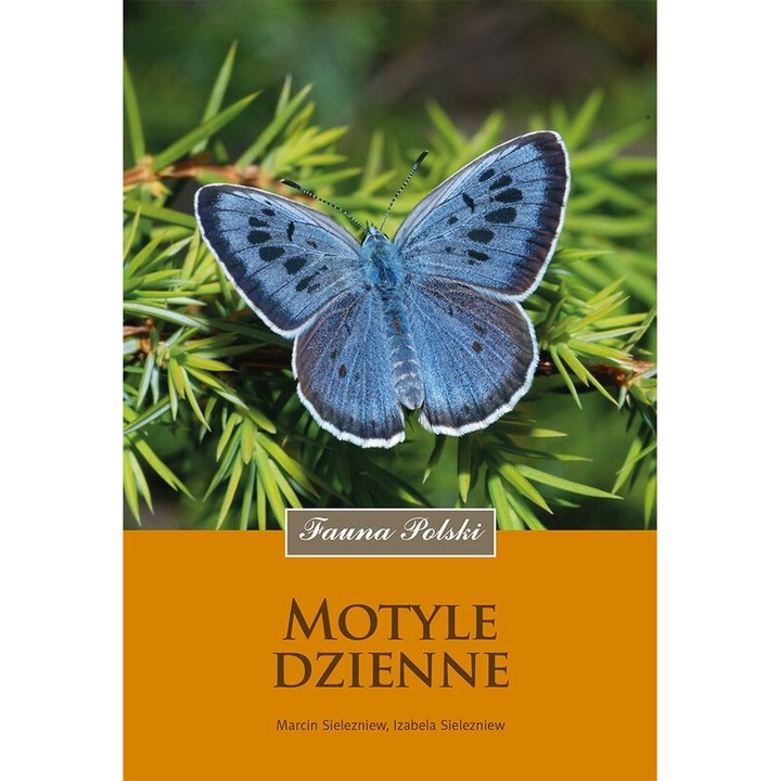 Motyle dzienne wyd. 2024