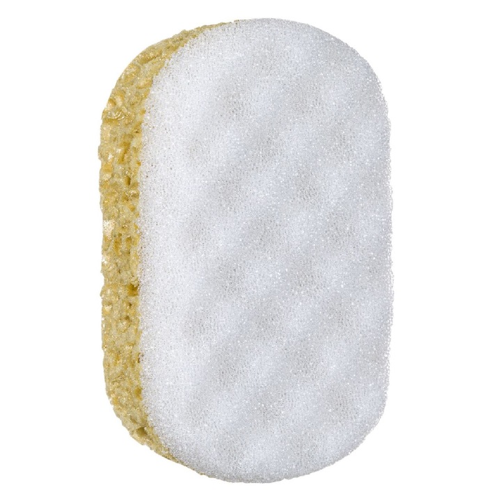 Természetes fürdőszivacs