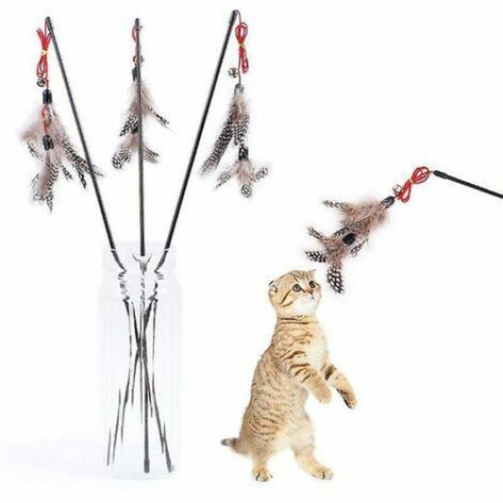 Set Jucarie pentru pisici cu pene AMRINUGL, Cutie pentru momeli de pescuit transparenta, material plastic