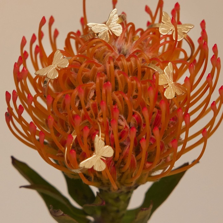 Пръстен с дизайн на пеперуда, Елегантен сребърен 925 позлатен, Златист