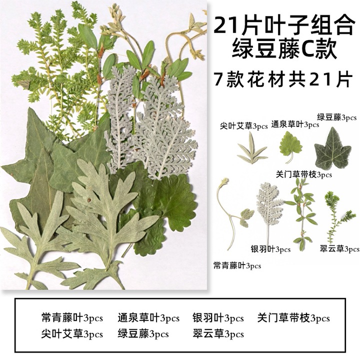 Set accesorii scolare, Drop25, style2