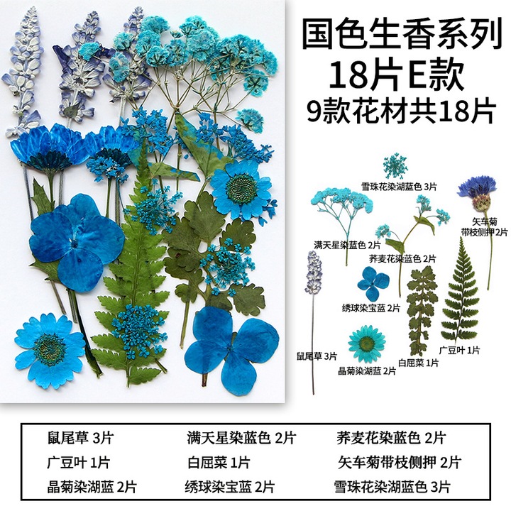 Set accesorii scolare, Drop24, style2