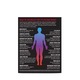 Complex de Multivitamine Pentru Barbati, Pentru Intregul Organism, GNC Mega Men Whole Body Vitapak Program, 30 Pachetele