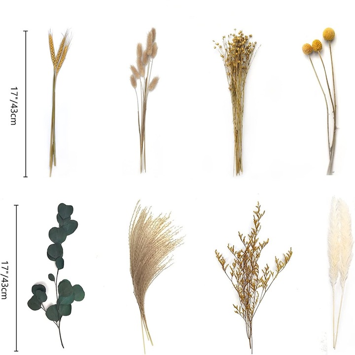Szárított pampa fű csokor, Jormftte, 65 szárított virág, beltéri/kültéri dekoráció
