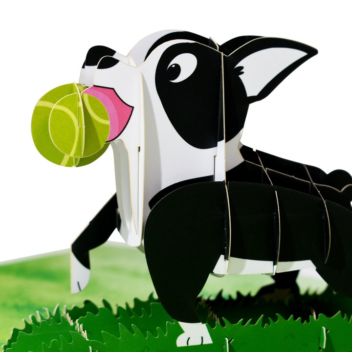 Felicitare 3D Boston Terrier, design detaliat, multicolor, 20x15cm