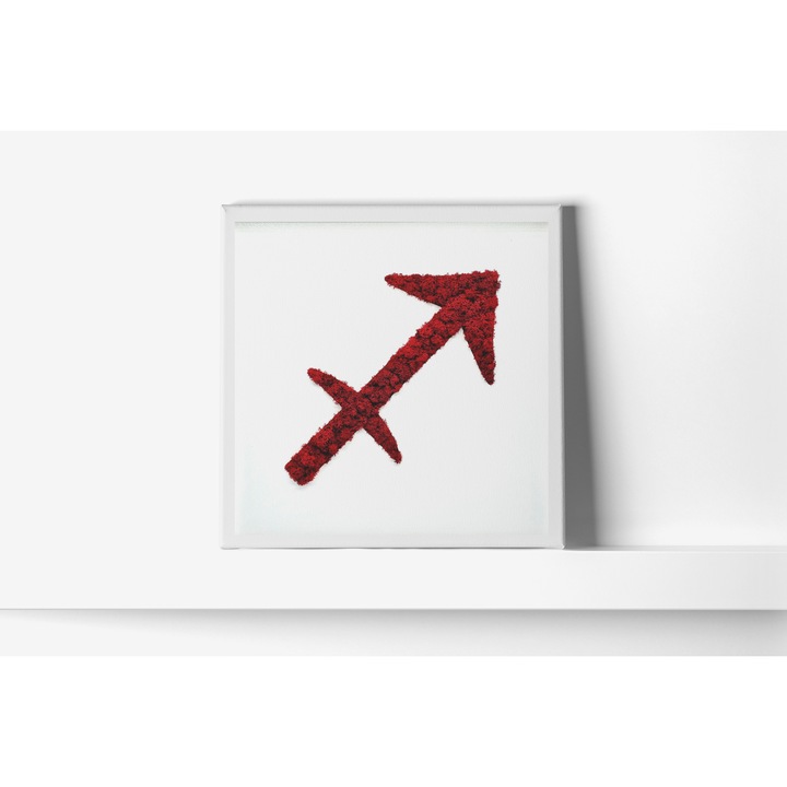 Tablou Zodie cu Licheni Naturali Sagetator