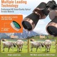 Binoclu 20x50 Excitat®️ Lentila BAK4 prisma FMC, HD, impermeabil, anti-fog, profesionala, Cu busola, Pentru Adulti Si Copii, Putere Mare De Focalizare Pentru Observarea Pasarilor, Vanatoare, Calatorii, Turism, Aur Negru