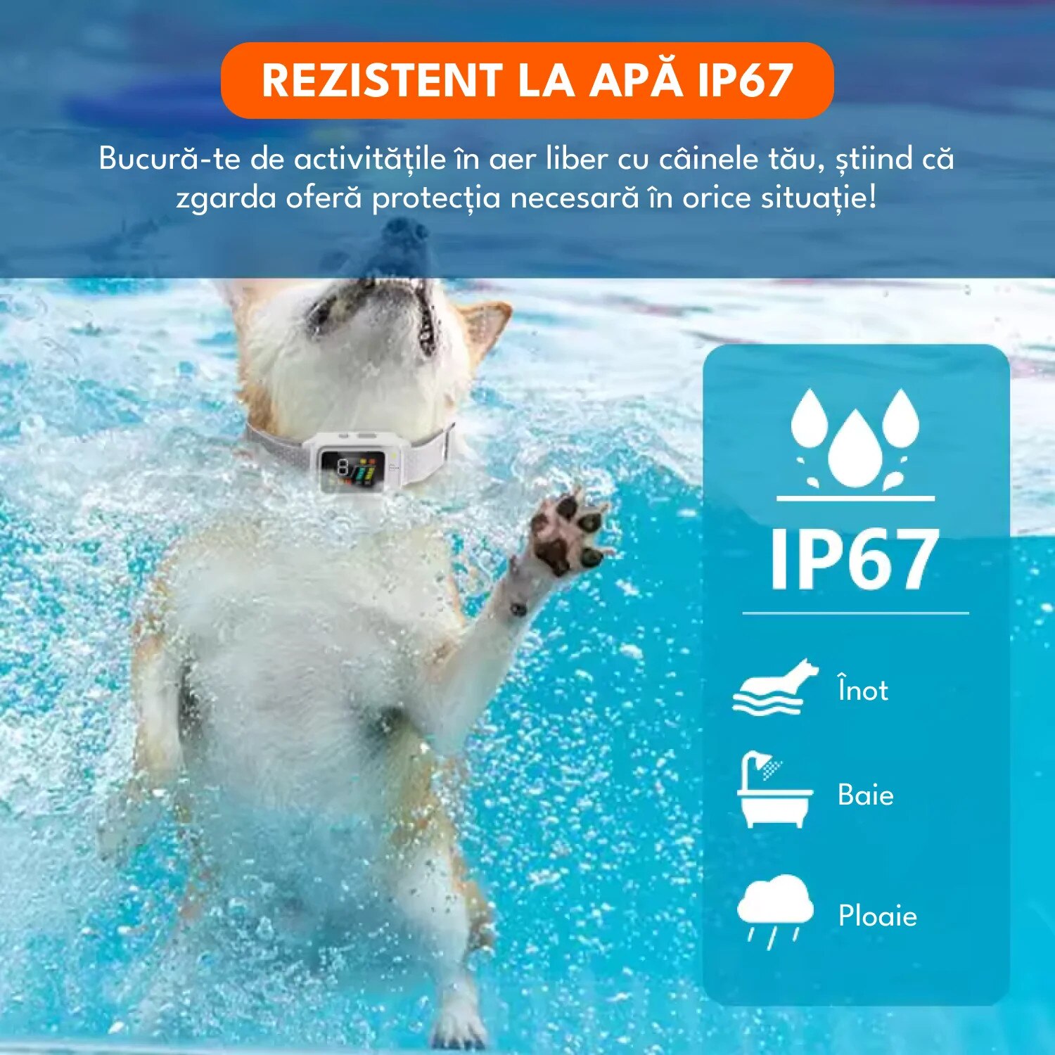 Zgarda inteligenta pentru dresaj, Felliner, raza actiune 800m, 3 ...