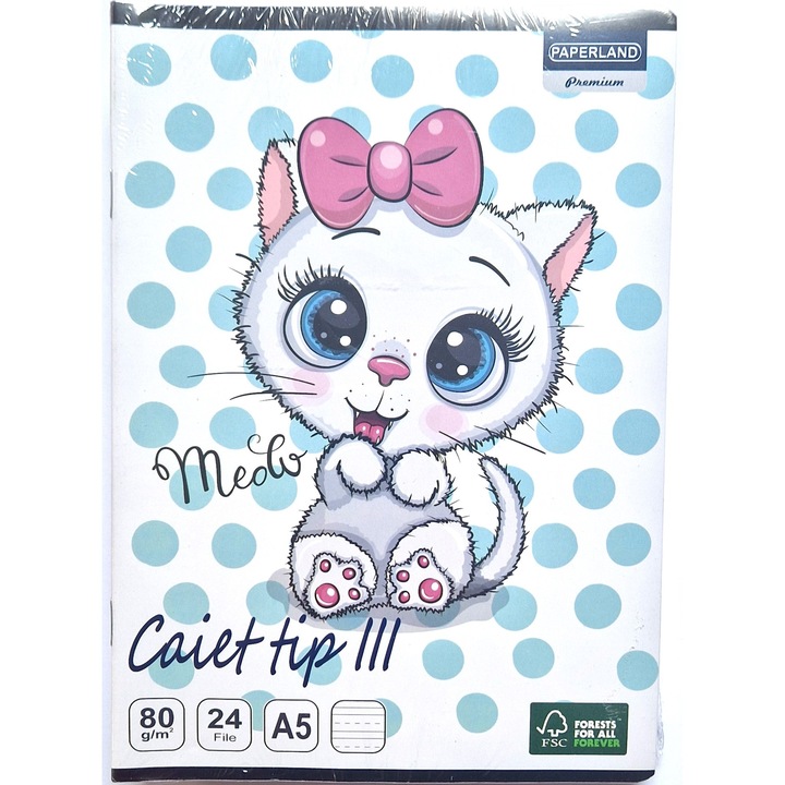Set 5 Caiete tip 3, 24 file, hartie 80g/mp, Paperland