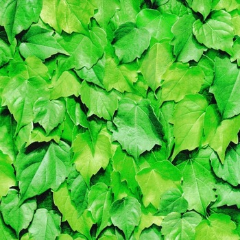 Folie Autoadeziva 15 x 0.45 m Folie Autoadeziva 15 x 0.45 m