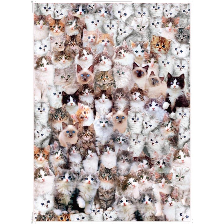 Puzzle 1000 piese, Cat World, 70x50cm