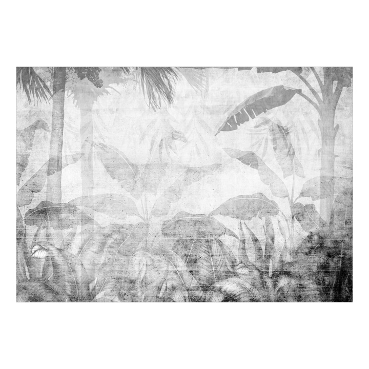 Fotótapéta Standard - Eltűnő erdő - Harmadik változat - 100 x 70 cm