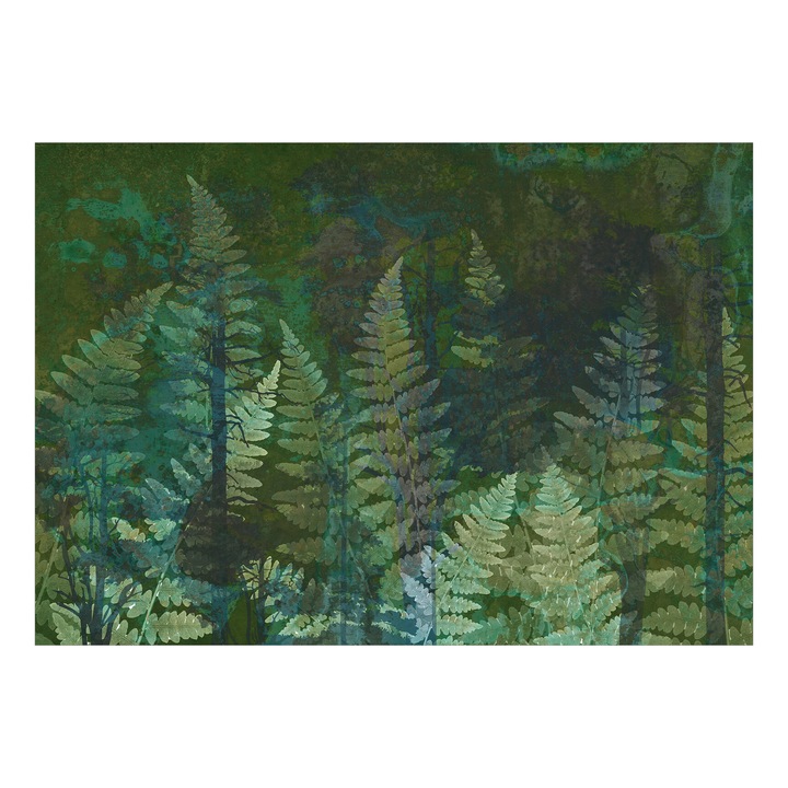 Fotótapéta Standard - Páfrányok az erdőben - Második változat - 200 x 140 cm