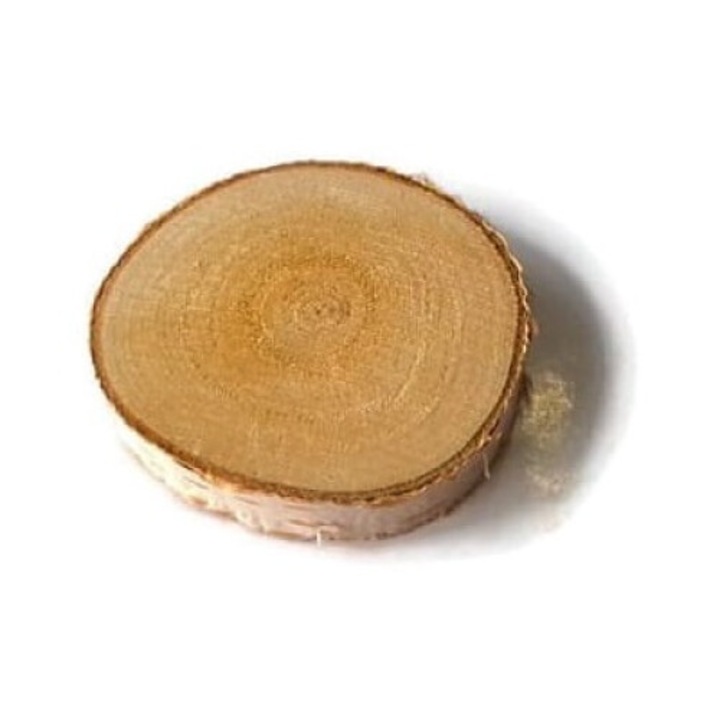 Csiszolatlan fa tábla Akademia Drewna, Brzoza, 4-6cmx1cm