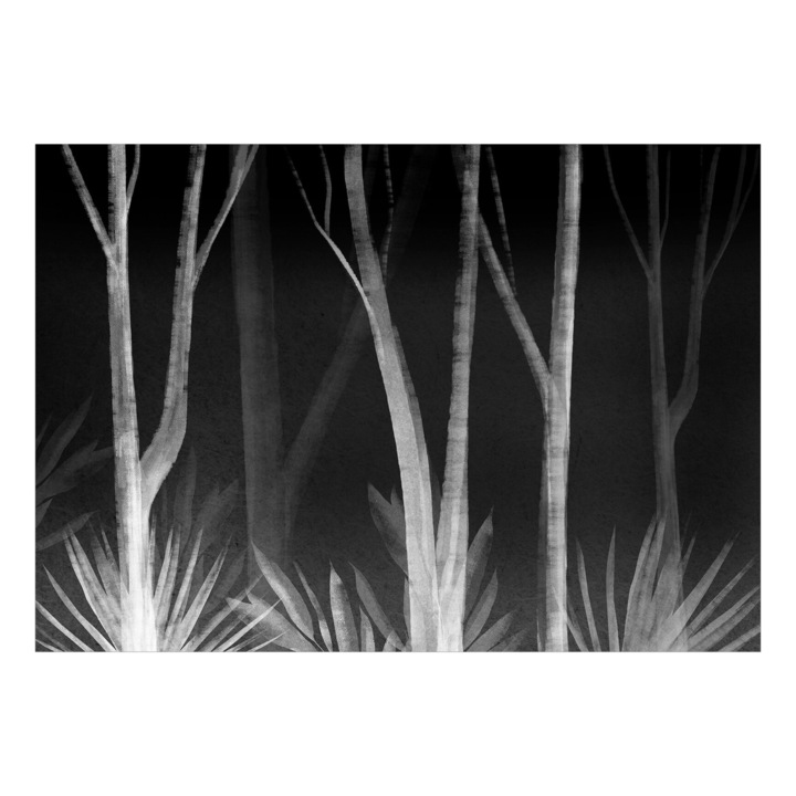 Fotótapéta Standard - Az erdő zúgása - Harmadik változat - 150 x 105 cm