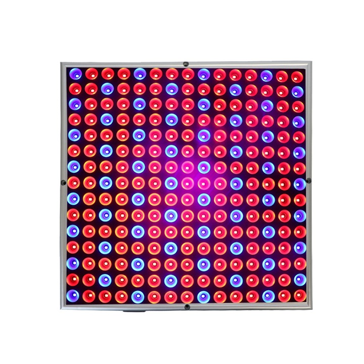 Enforose 45W LED növénytermesztő lámpa, teljes spektrumú, piros-kék, beltéri használatra, 1,5 m-es kábellel