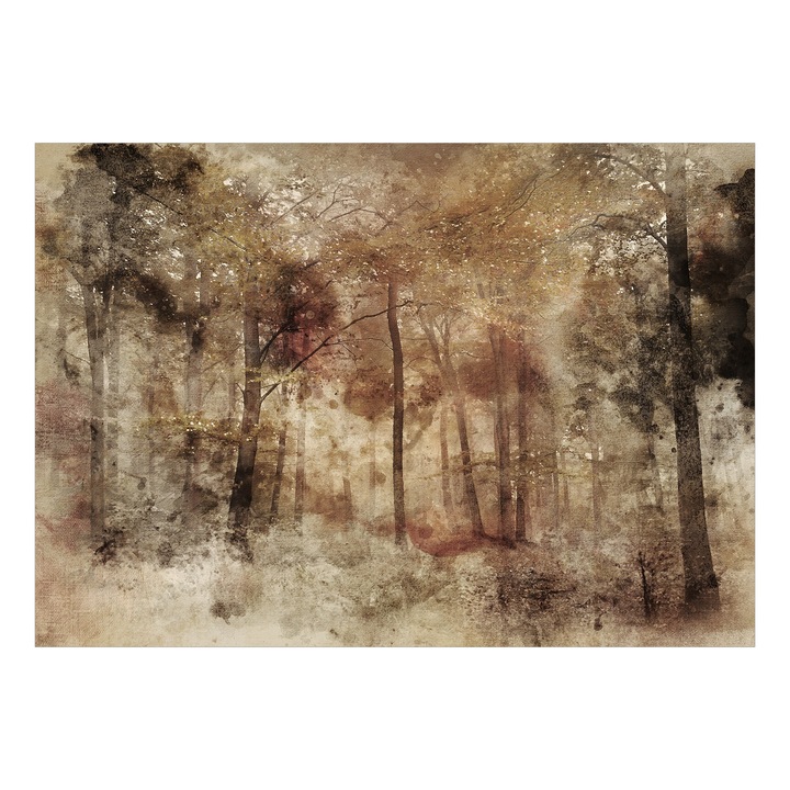 Fotótapéta Standard - Elveszve az erdőben - 450 x 315 cm