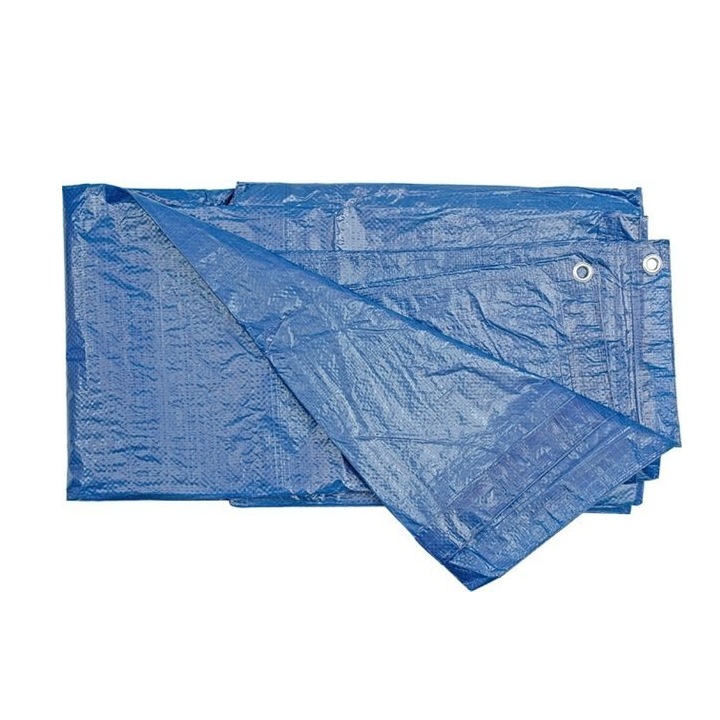 Prelata 6 x 10 m, VOREL, Polipropilena/Polietilena, Albastru