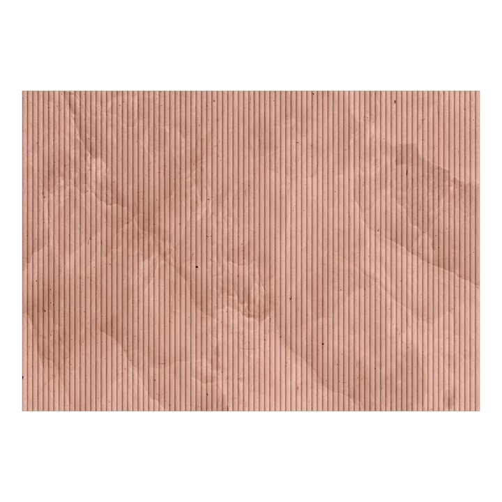 Fotótapéta Standard - Rózsaszín nád - 100 x 70 cm