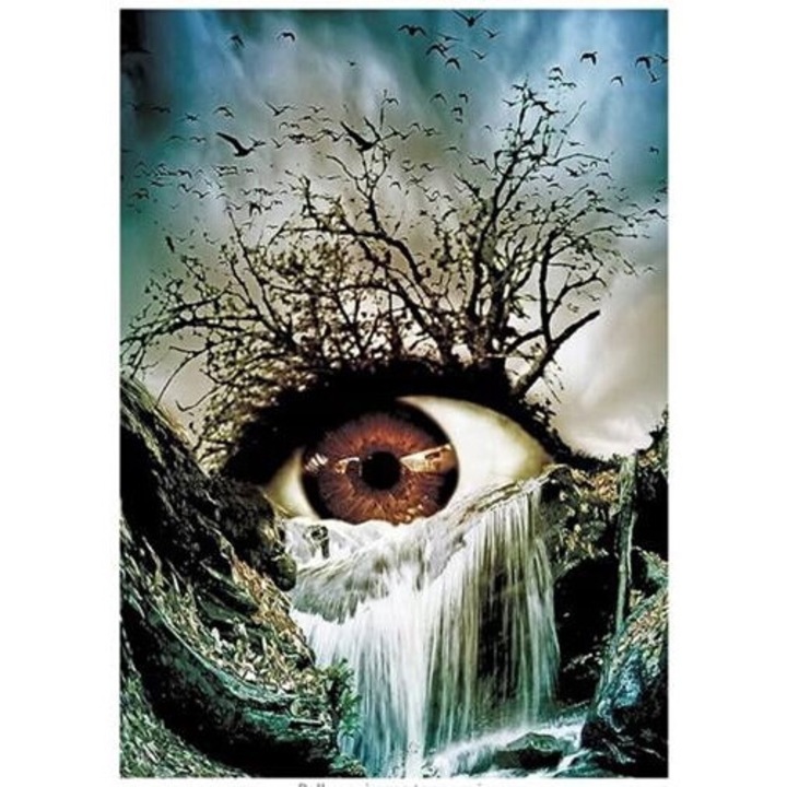 Mozaic cu Diamante, Norimpex, Model ochi, 30x40cm