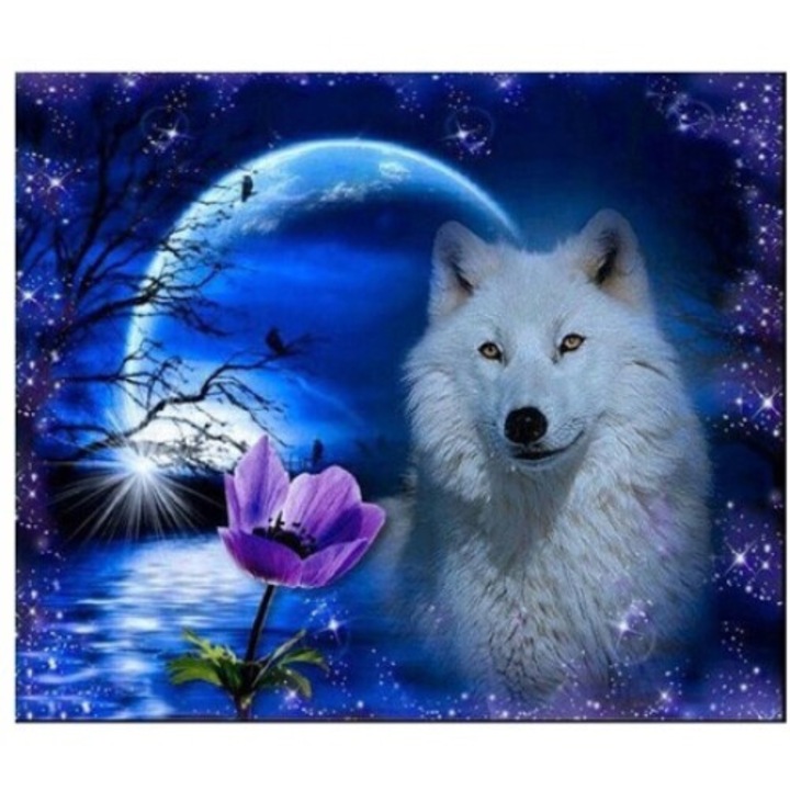 Set de Artizanat Norimpex, tablou din cristale, multicolor, 30x40cm