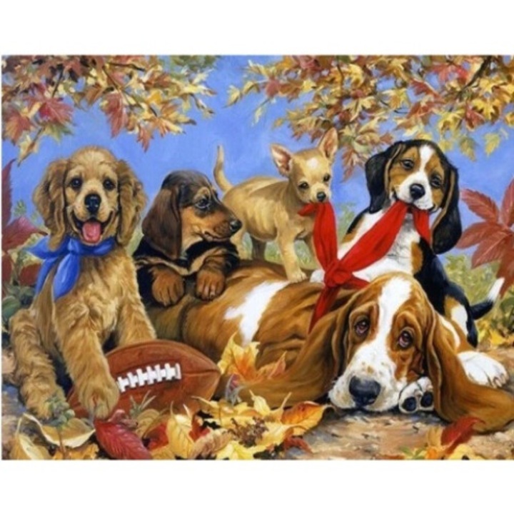 Set de Artizanat Norimpex, Multicolor, 80x40cm