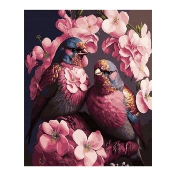 Set Pictura dupa Numere, Norimpex, Creativ cu Rama, "Pasari in Flori", 50x40cm