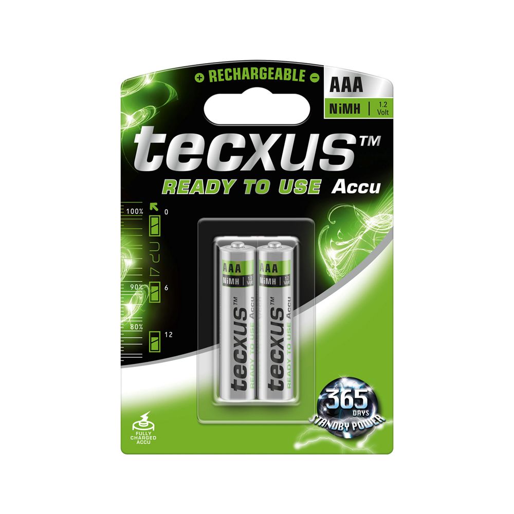 Acumulatori Tecxus AAA 800 mAh, preincarcati, gata de utilizare, blister de 2 buc