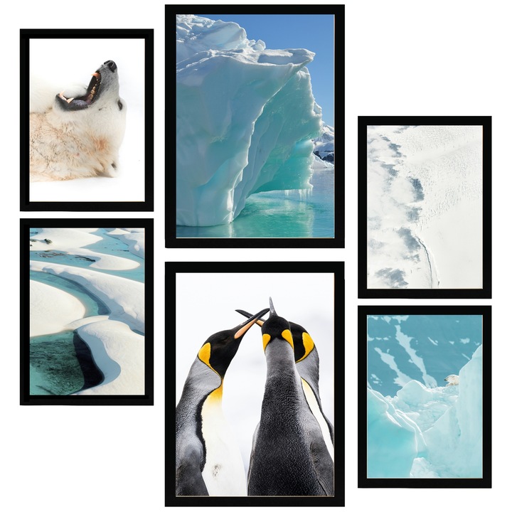 Nacnic Set de 6 postere Gheata in Antarctica. Urs si pinguini in ape turcoaz Printuri inramate cu ilustratie de design pentru a decora peretii casei. Camera, birou. A3 si A4 Cadru negru