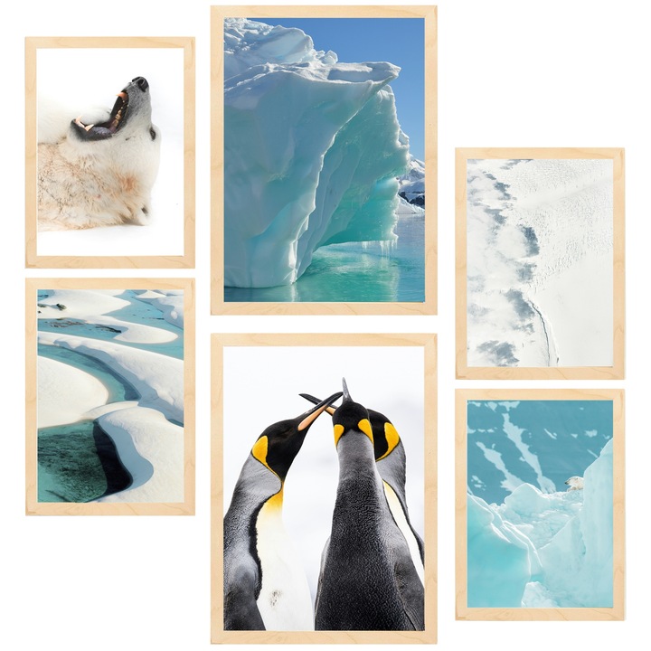 Nacnic Set de 6 postere Gheata in Antarctica. Urs si pinguini in ape turcoaz Printuri inramate cu ilustratie de design pentru a decora peretii casei. Camera, birou. A3 si A4 Cadru din lemn deschis