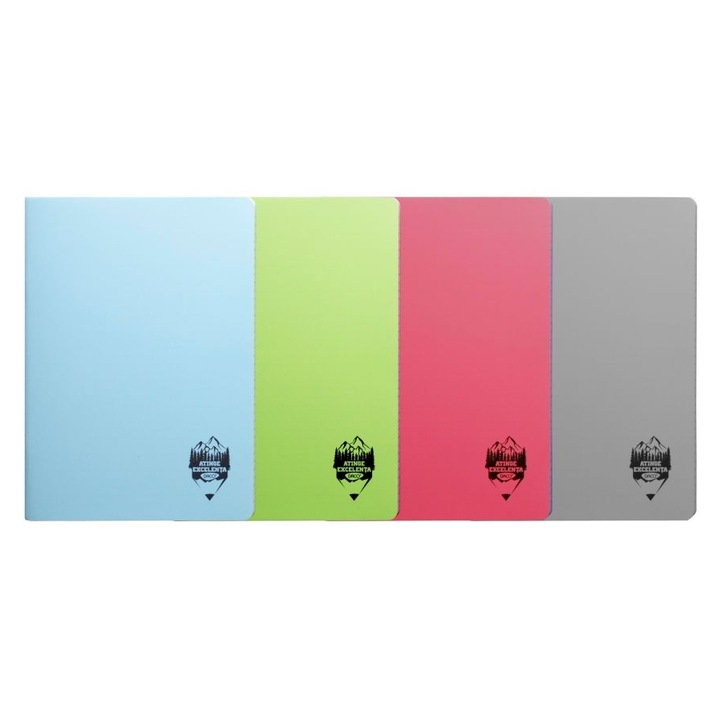 Комплект 4 тетрадки А4 80 стр. dictando, пластмасови корици, Daco, с линии, 70 g/m2, сини, сиви, розови, зелени