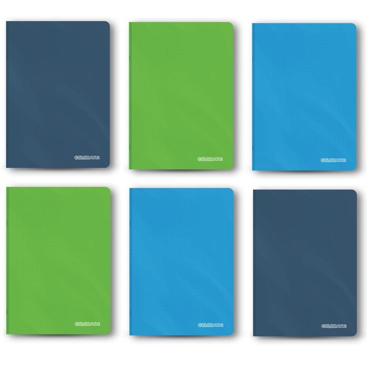 Комплект 6 тетрадки А4, 60 листа за диктовка, пластмасови корици, хартия 70 g/m2, Colorarte, студени цветове