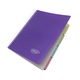 Caiet A4, 200 file, 5 subiecte, Daco