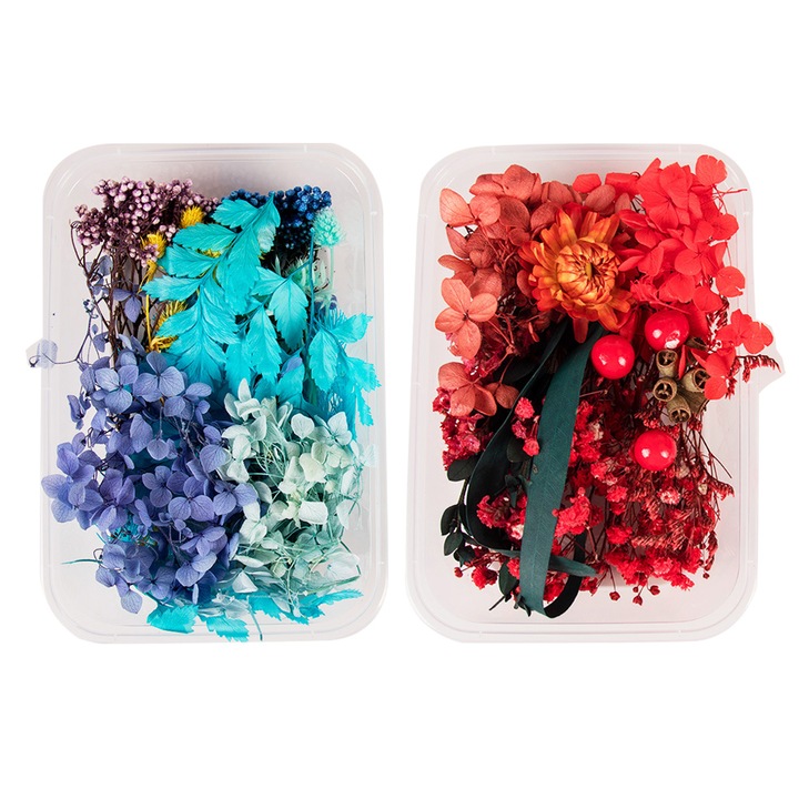 Комплект от 2 кутии пресовани сухи цветя, QttvbTna, Многоцветни, 17x12см