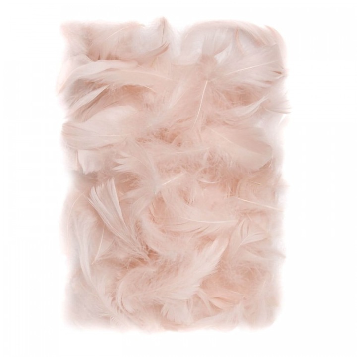 Set Pene Decorative dp Craft, Nude, 5-12cm, 10g